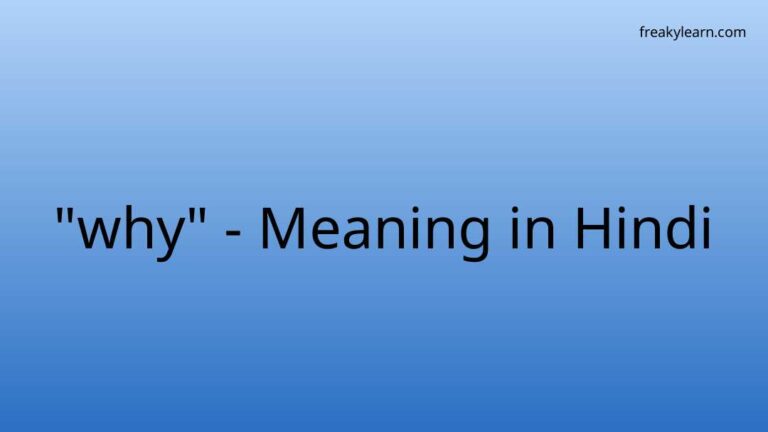 “why” Meaning in Hindi