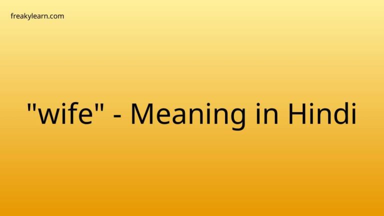 wife-meaning-in-hindi-freakylearn